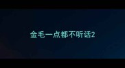 金毛一点都不听话