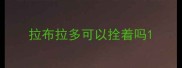 拉布拉多可以拴着吗