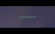 为什么边牧毛毛会卷