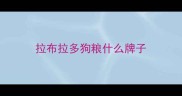 拉布拉多狗粮什么牌子