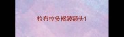 拉布拉多褶皱额头