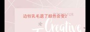 边牧乳毛退了颜色会变