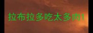 拉布拉多吃太多肉