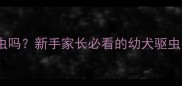 金毛两个月大可以驱虫吗新手家长必看的幼犬驱虫全攻略附产品清单