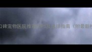 运城口碑宠物医院推荐TOP5及选择指南附最新榜单
