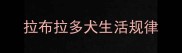 拉布拉多犬生活规律
