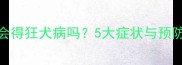 宠物狗会得狂犬病吗5大症状与预防指南全