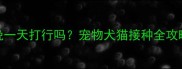 狂犬疫苗第三针晚一天打行吗宠物犬猫接种全攻略及延迟处理指南