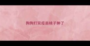 狗狗打完疫苗桃子肿了