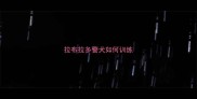 拉布拉多警犬如何训练