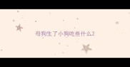母狗生了小狗吃些什么