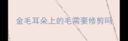 金毛耳朵上的毛需要修剪吗