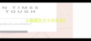 小狗尾巴几个月开花