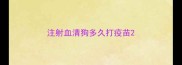 注射血清狗多久打疫苗