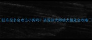 拉布拉多会攻击小狗吗资深训犬师幼犬相处全攻略