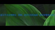 法国斗牛犬发情期全周期症状与饲养指南附科学管理方案