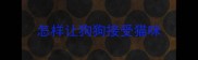 怎样让狗狗接受猫咪