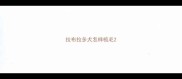 拉布拉多犬怎样梳毛