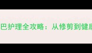 拉布拉多幼犬尾巴护理全攻略从修剪到健康新手必看