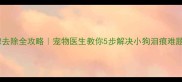 泪腺去除全攻略宠物医生教你5步解决小狗泪痕难题