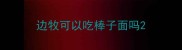 边牧可以吃棒子面吗