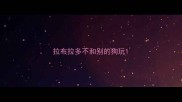 拉布拉多不和别的狗玩