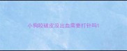 小狗咬破皮没出血需要打针吗
