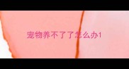 宠物养不了了怎么办