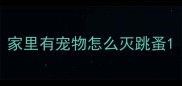 家里有宠物怎么灭跳蚤