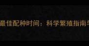 边境牧羊犬最佳配种时间科学繁殖指南与养护要点