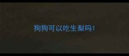 狗狗可以吃生梨吗