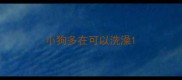 小狗多在可以洗澡