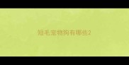短毛宠物狗有哪些