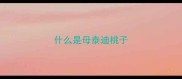 什么是母泰迪桃子