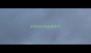 宠物宠物市场在哪里找