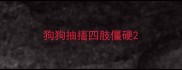 狗狗抽搐四肢僵硬