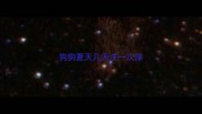 狗狗夏天几天洗一次澡