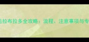 飞机托运拉布拉多全攻略流程注意事项与专业指南