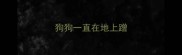 狗狗一直在地上蹭