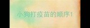小狗打疫苗的顺序