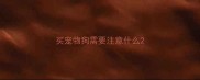 买宠物狗需要注意什么