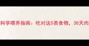 3个月金毛幼犬科学喂养指南吃对这5类食物30天肉眼可见长肉