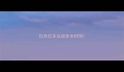 拉布拉多运动多长时间