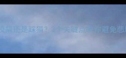 哈士奇咬猫还是踩猫3个关键点教你避免悲剧