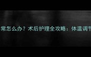 猫咪绝育后体温异常怎么办术后护理全攻略体温调节与异常处理指南