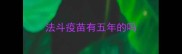 法斗疫苗有五年的吗