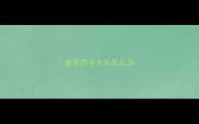 金毛的毛太长怎么办