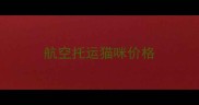 航空托运猫咪价格