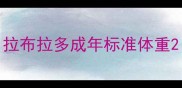 拉布拉多成年标准体重