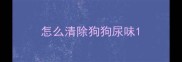 怎么清除狗狗尿味